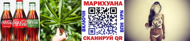 где купить наркотик  нарко площадка клад  Печенье с ТГК конопля  Волхов 