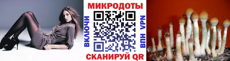 Псилоцибиновые грибы прущие грибы  KRAKEN рабочий сайт  Волхов  где купить наркотик 